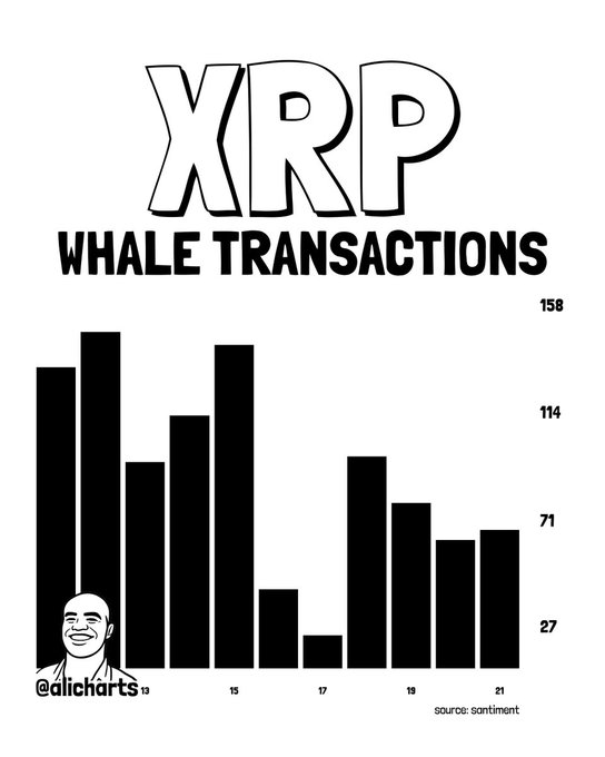 L’activité des baleines XRP s’écrase de 57 % – Calme avant la prochaine tempête ? ⋆ ZyCrypto L’activité des baleines XRP s’écrase de 57 % – Calme avant la prochaine tempête ? ⋆ ZyCrypto
