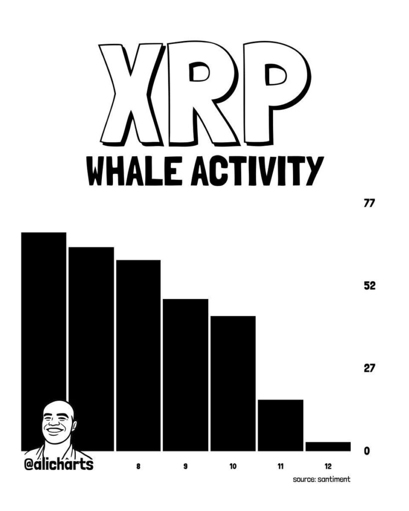 L'activité des baleines XRP atteint son plus bas niveau hebdomadaire alors que les transactions d'un million de dollars disparaissent presque ⋆ ZyCrypto L'activité des baleines XRP atteint son plus bas niveau hebdomadaire alors que les transactions d'un million de dollars disparaissent presque ⋆ ZyCrypto