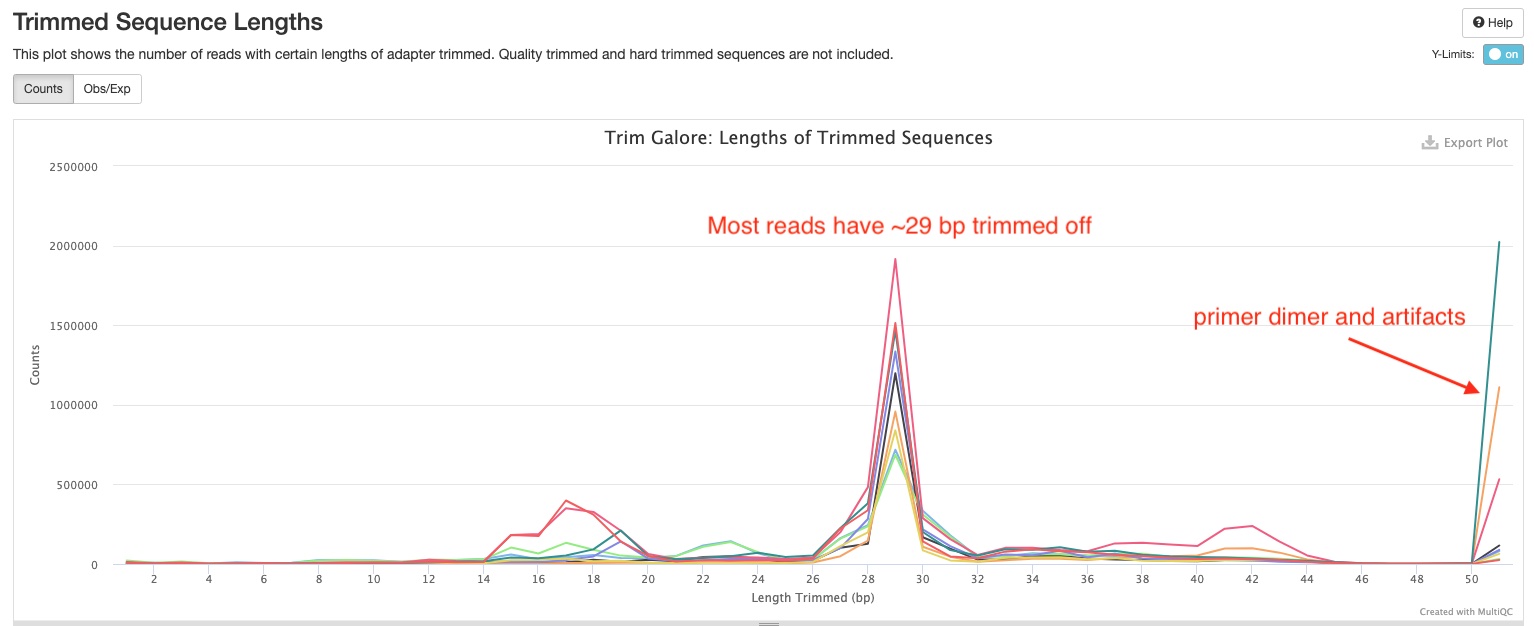 How to interpret the small RNAseq report pipelineresources