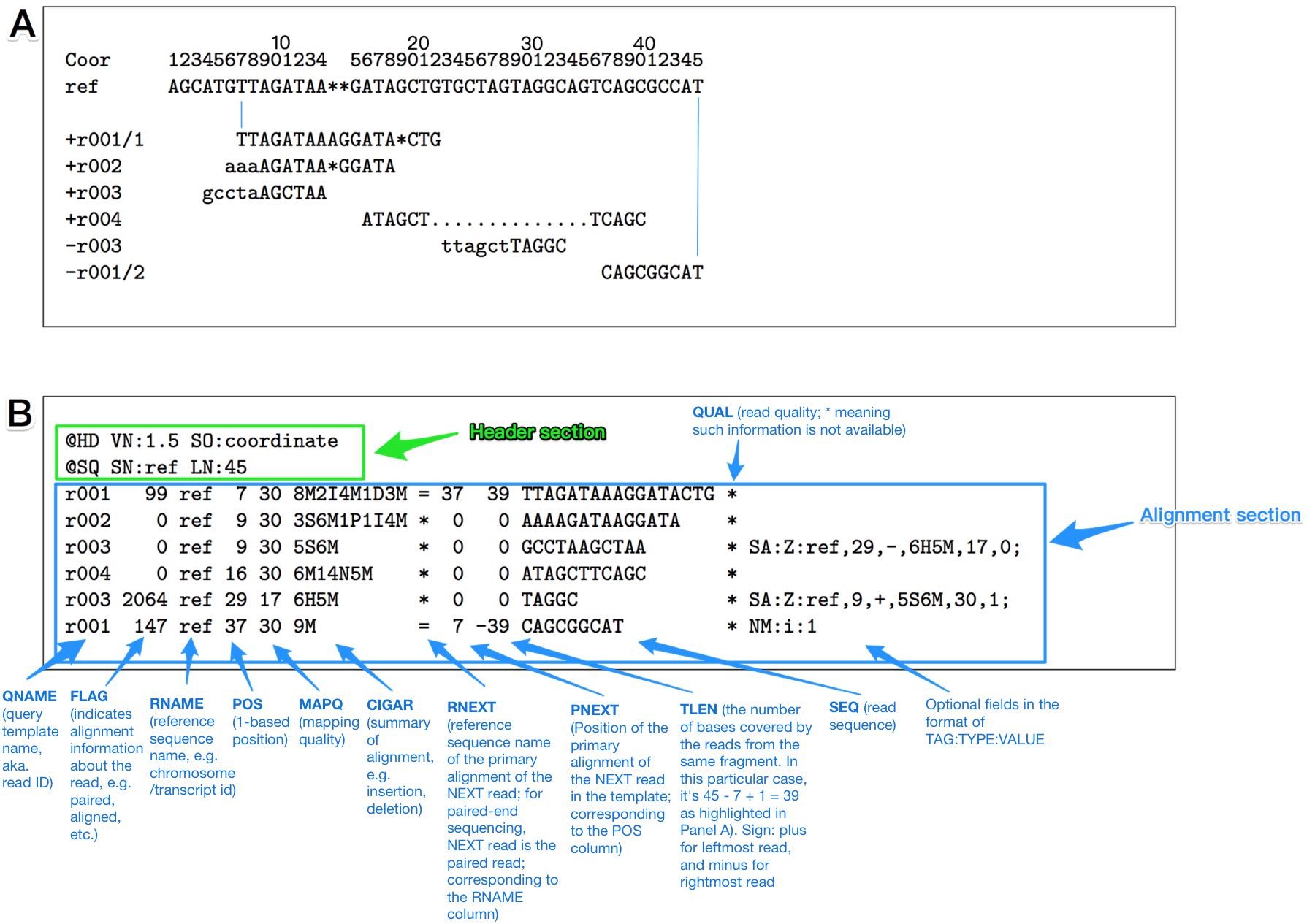 An annotated SAM format example